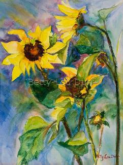 Sunflowers